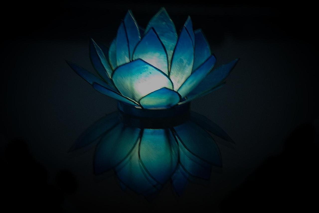 Blue Lotus Apartment Вена Экстерьер фото
